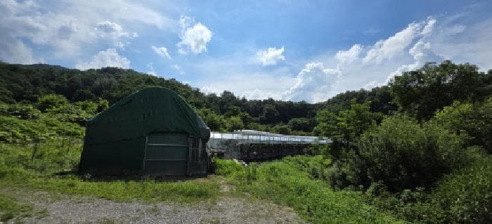 경상북도 김천시 대항면 덕전리 740