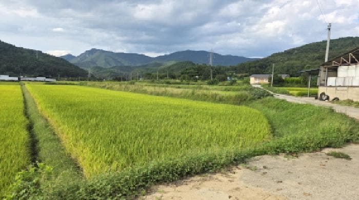 경상북도 구미시 해평면 창림리 201-2