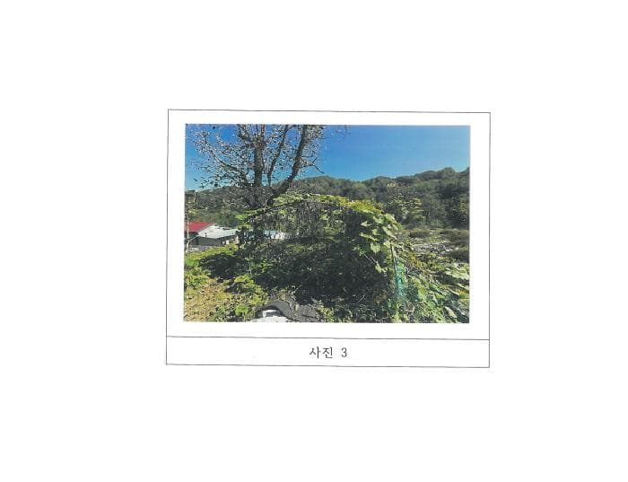경상북도 김천시 지례면 거물리 157