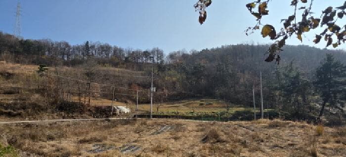 경상북도 구미시 해평면 해평리 518-1