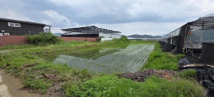 경상북도 김천시 개령면 황계리 1103-1