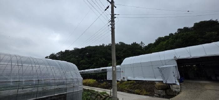 경상북도 김천시 봉산면 인의리 산36