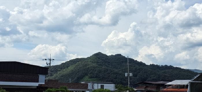 경상북도 김천시 봉산면 태화리 산124