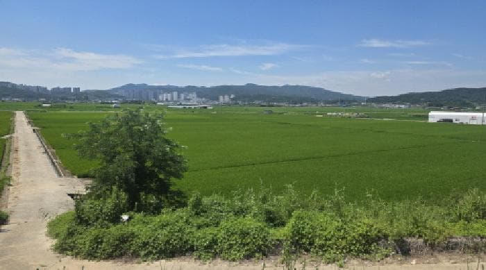 경상북도 구미시 고아읍 괴평리 909-2