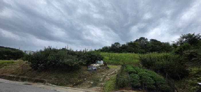 경상북도 김천시 덕곡동 519-26