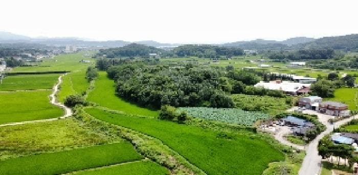 경상북도 구미시 해평면 금호리 123-1 외 10 필지