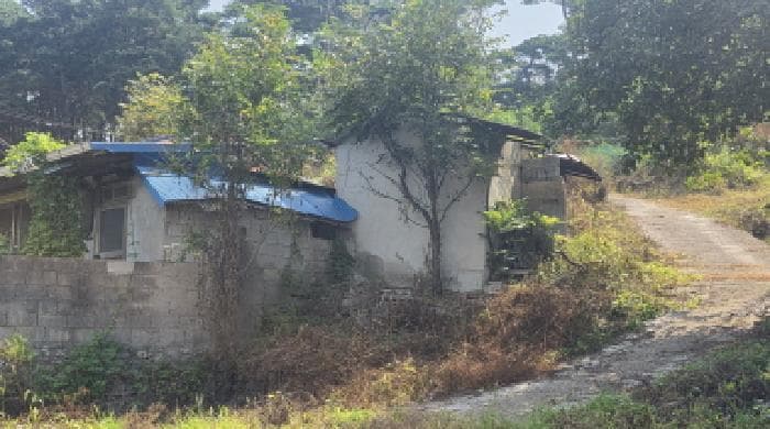 경상북도 구미시 선산읍 화조리 554-11