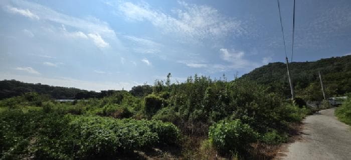 경상북도 김천시 봉산면 신암리 783