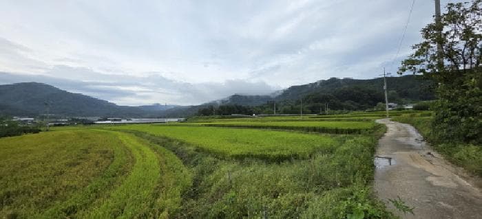 경상북도 김천시 문당동 143-33