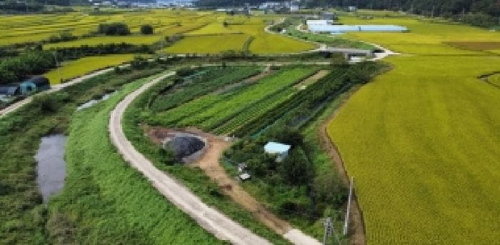 경상북도 구미시 장천면 상장리 244-3
