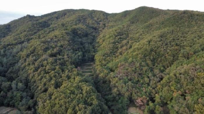 경상북도 구미시 선산읍 죽장리 산28