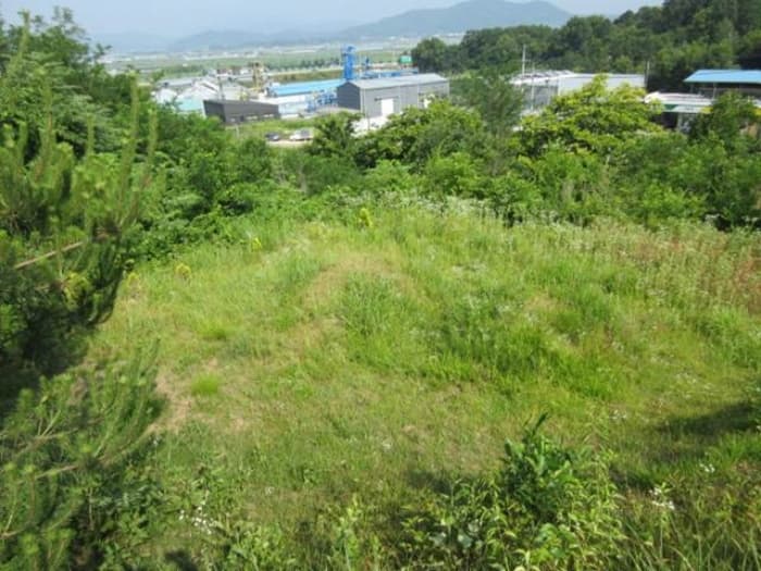 경상북도 상주시 사벌국면 엄암리 621-3