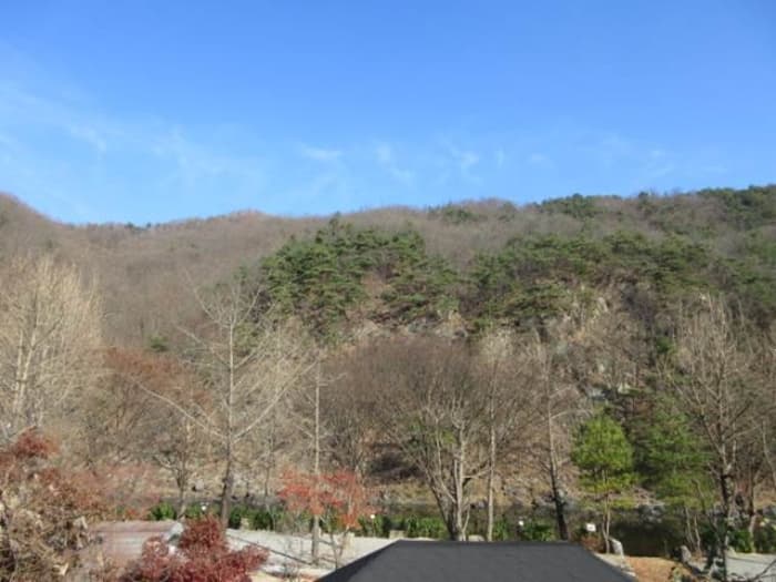 경상북도 문경시 마성면 하내리 236