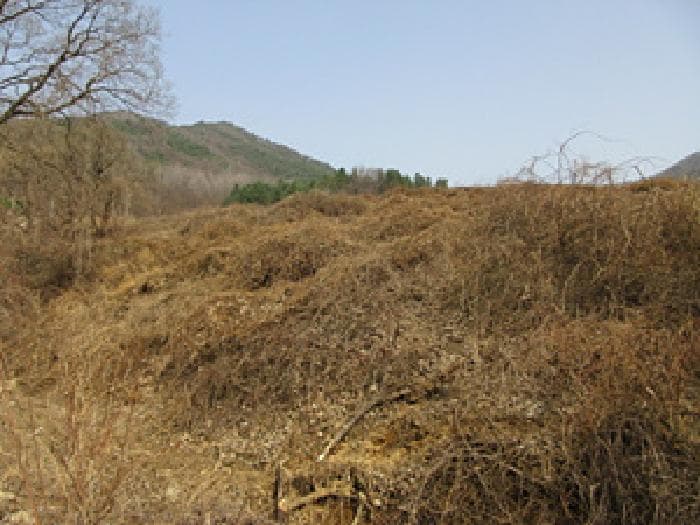 경상북도 문경시 농암면 내서리 739-5