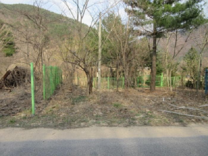 경상북도 문경시 농암면 내서리 264