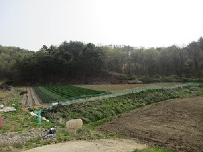 경상북도 예천군 지보면 송평리 186