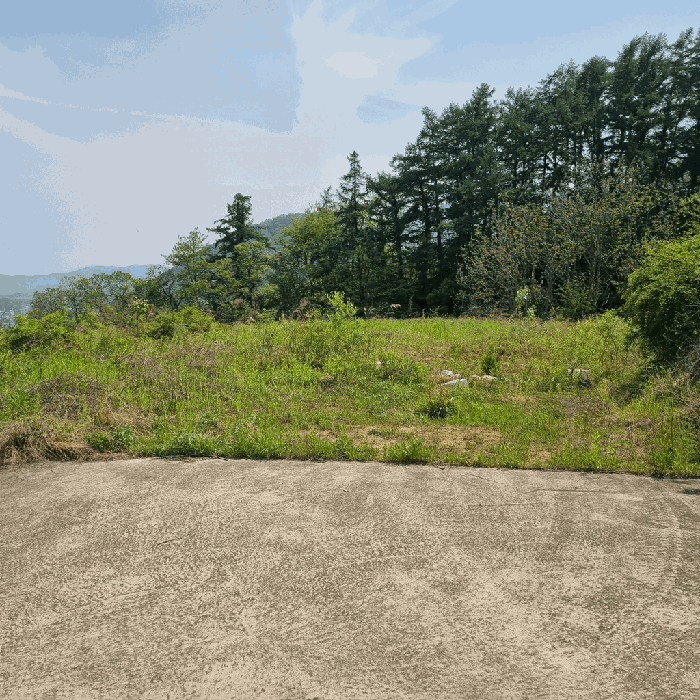 경상북도 문경시 문경읍 상리 214
