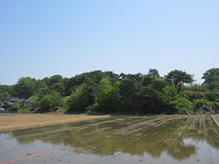 경상북도 예천군 예천읍 고평리 523-1 외 1 필지