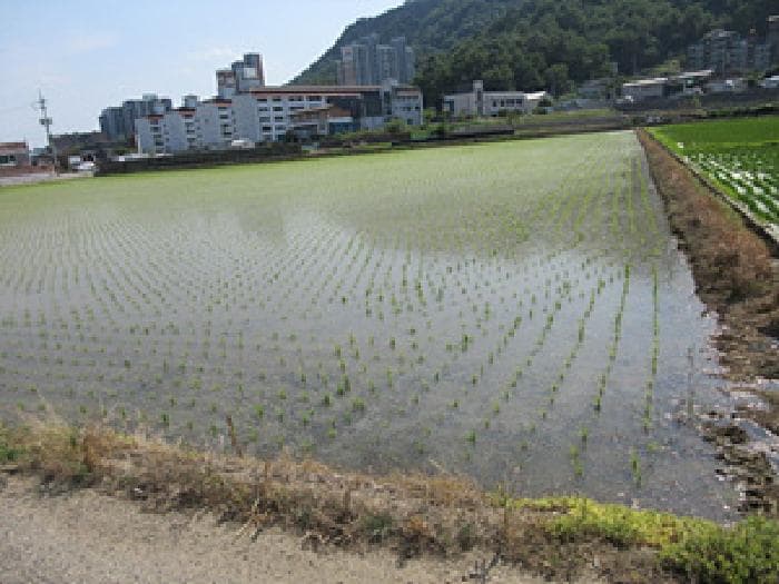경상북도 문경시 흥덕동 537-1