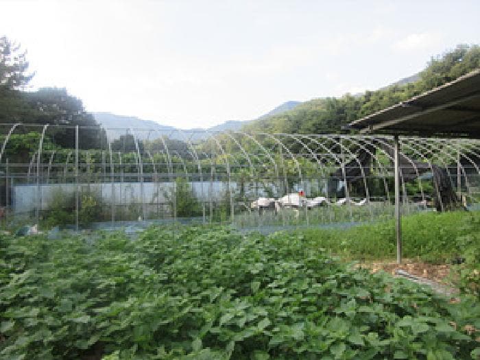 경상북도 상주시 화북면 용유리 17 외 2 필지