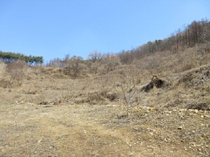 경상북도 예천군 효자면 고항리 184 외 1 필지