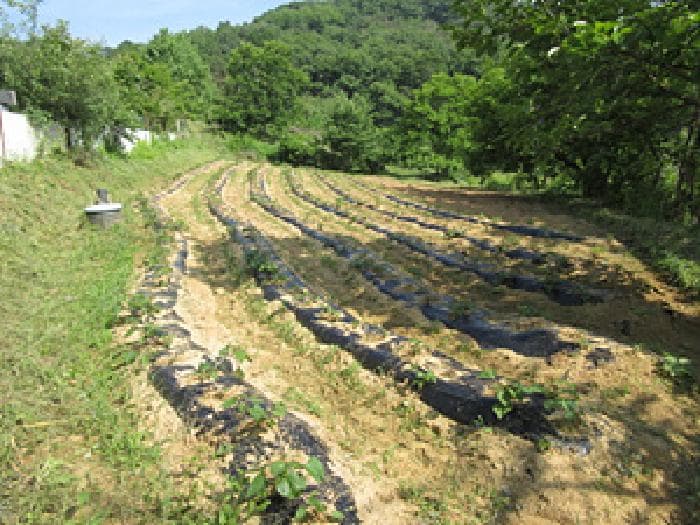 경상북도 상주시 공검면 율곡리 693-1