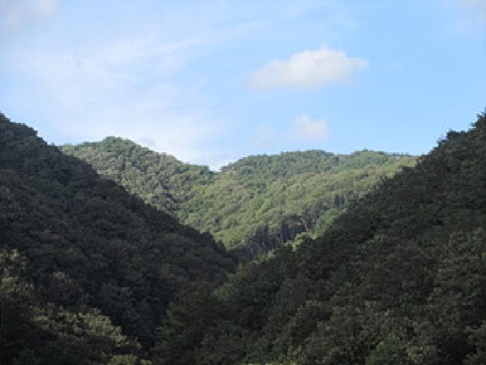 경상북도 상주시 화북면 입석리 산21-5