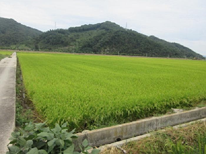 경상북도 문경시 산북면 대상리 115-2