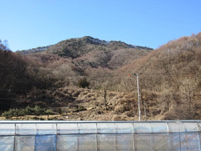 경상북도 상주시 화서면 금산리 293-4