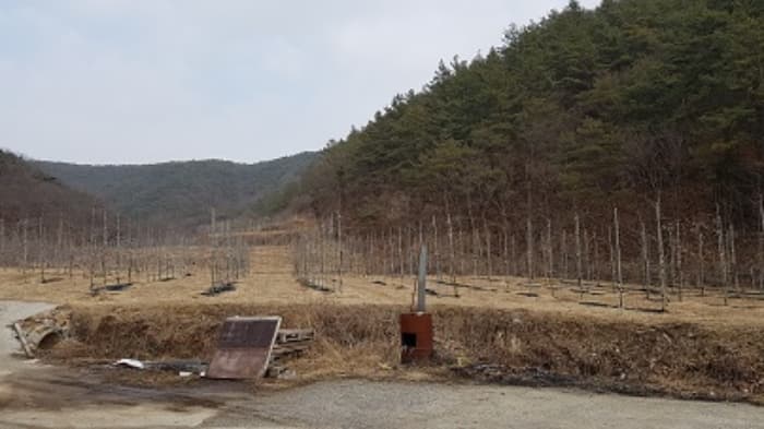 경상북도 의성군 의성읍 중리리 233