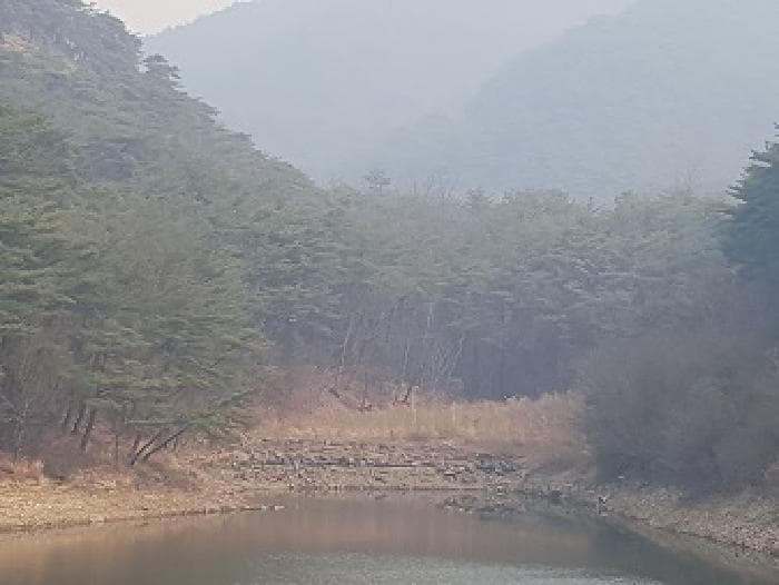 경상북도 의성군 점곡면 사촌리 29