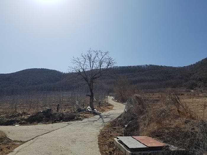 경상북도 청송군 부남면 대전리 산120 외 2 필지