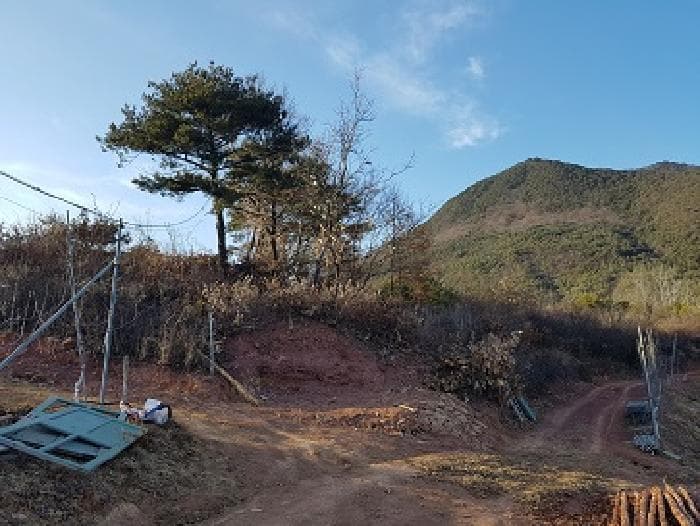 경상북도 청송군 청송읍 부곡리 산48-1 외 2 필지