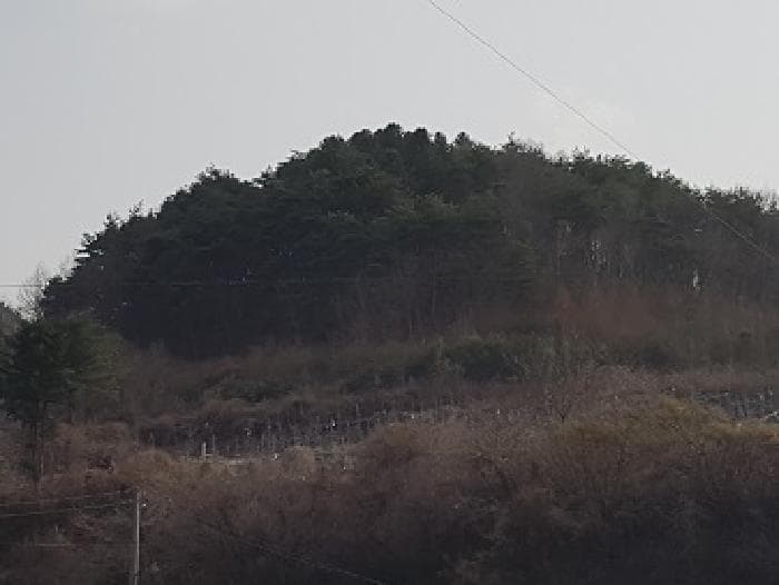 경상북도 의성군 옥산면 오류리 283