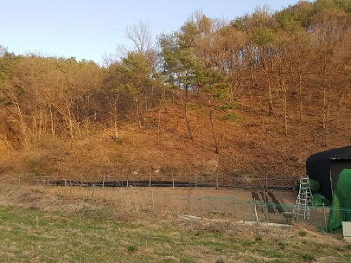 경상북도 의성군 봉양면 풍리리 1235