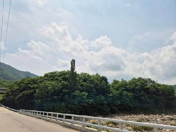대구광역시 군위군 부계면 대율리 330 외 4 필지