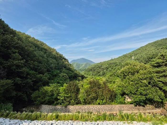 경상북도 청송군 현동면 도평리 689-1