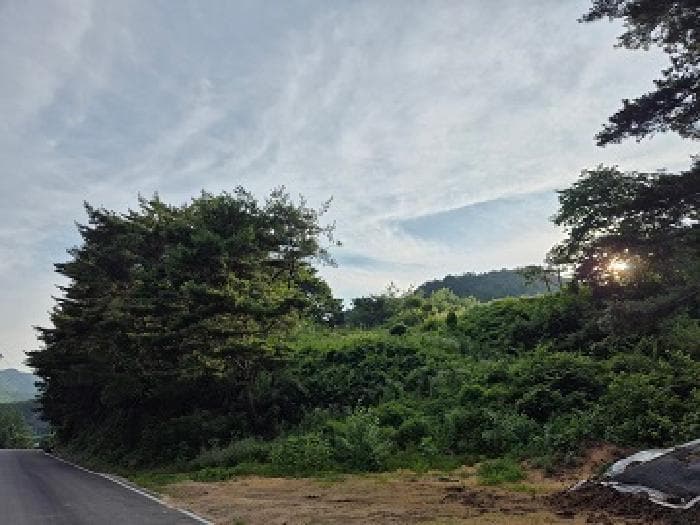 경상북도 청송군 주왕산면 부일리 665-1