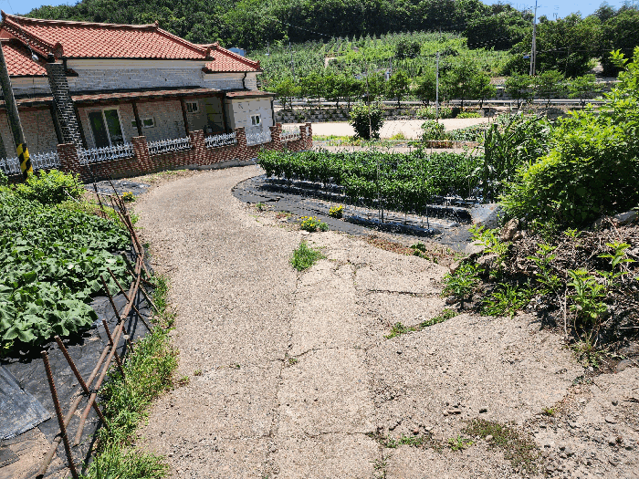 경상북도 청송군 안덕면 문거리 744-2 외 1 필지