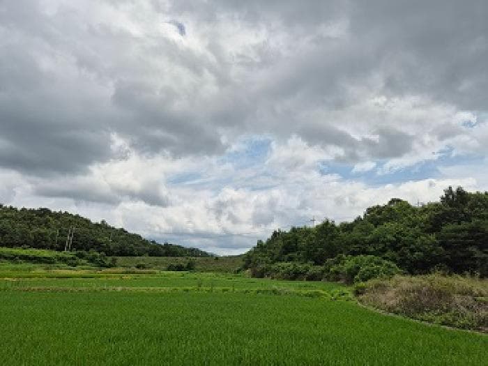 경상북도 의성군 옥산면 오류리 519