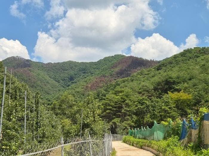 경상북도 의성군 옥산면 감계리 산36