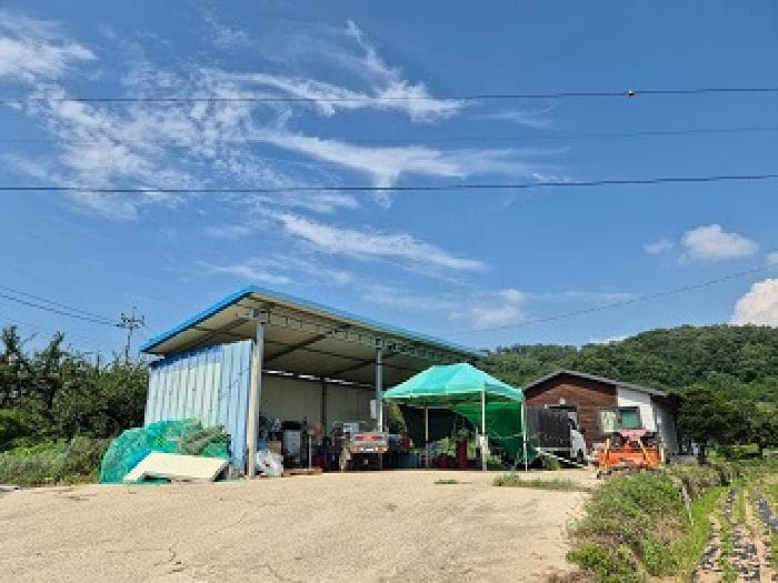 경상북도 의성군 봉양면 길천리 815