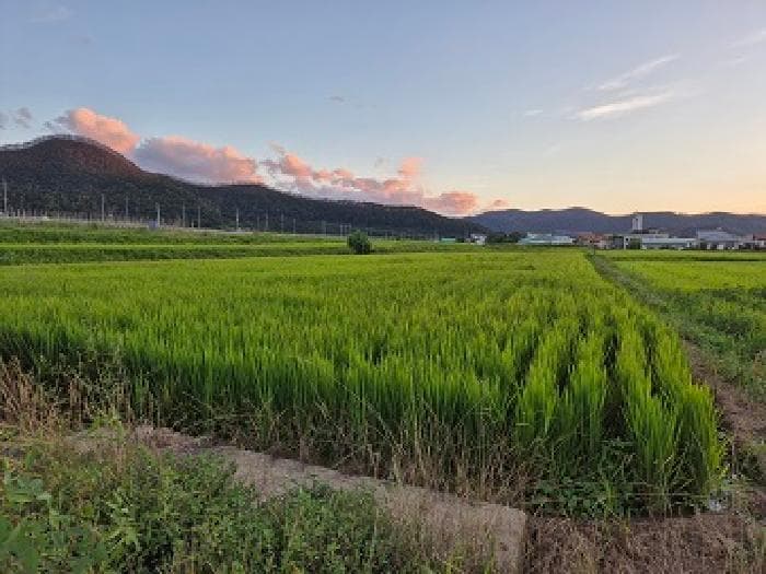 경상북도 청송군 진보면 각산리 524-6