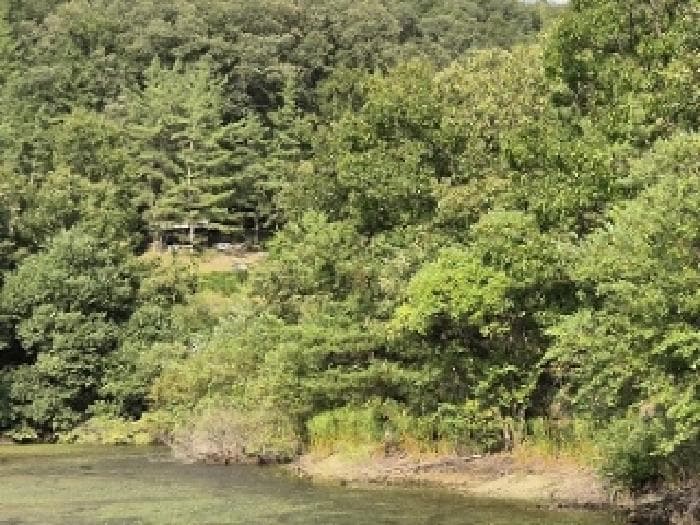 경상북도 의성군 비안면 화신리 123