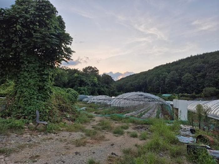 대구광역시 군위군 효령면 마시리 1114-2