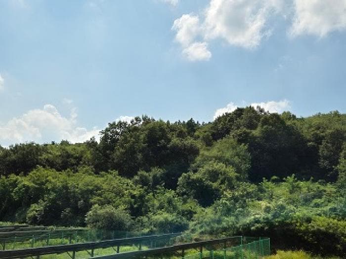 경상북도 의성군 안계면 도덕리 354