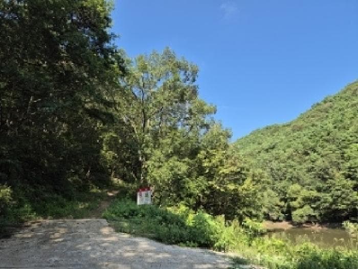 경상북도 의성군 안사면 신수리 산120