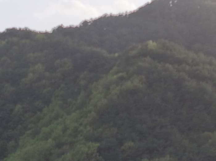 경상북도 울진군 북면 주인리 1270 외 2 필지