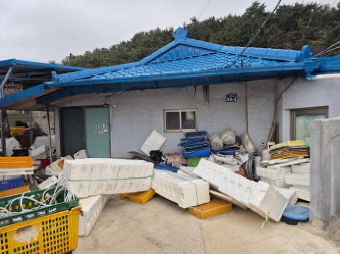 경상북도 울진군 평해읍 거일리 13-1