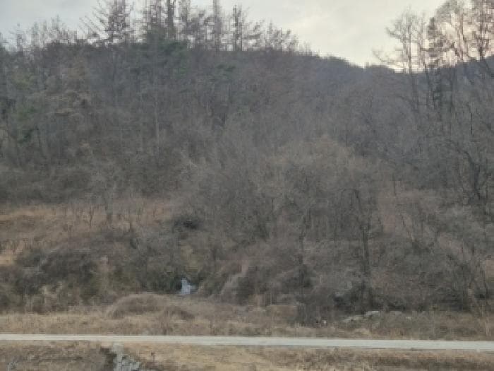 경상북도 영덕군 병곡면 이천리 146 외 1 필지